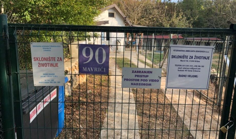 prijatelji životinja